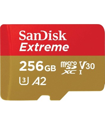 MEMORY MICRO SDXC 256GB UHS-I/W/A SDSQXAV-256G-GN6MA SANDISK