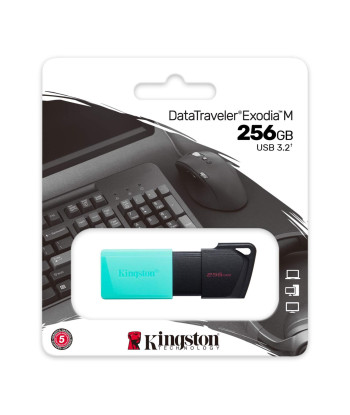 Kingston DataTraveler Exodia M 256GB