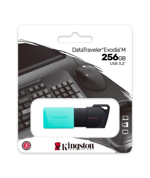 Kingston DataTraveler Exodia M 256GB