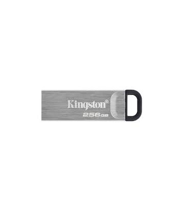 Kingston DataTraveler Kyson 256GB