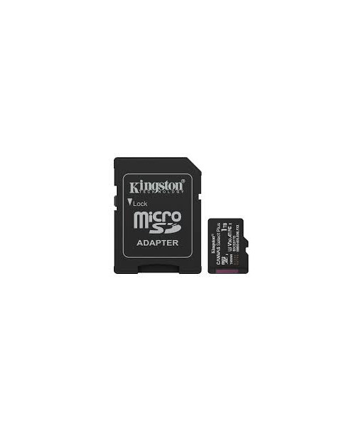 Kingston Canvas Select Plus Gen3 1TB Micro-SDHC+ Kingston Canvas Select Plus Gen3 1TB Micro-SDHC+
