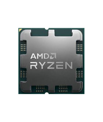 AMD Ryzen 9 7900 Tray