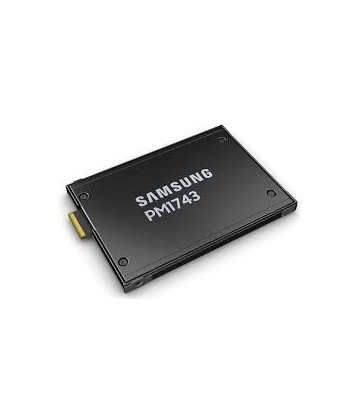 Samsung Server SSD PM1743 3.84TB NVMe U.2