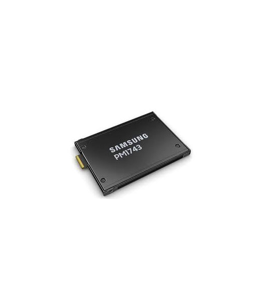 Samsung Server SSD PM1743 3.84TB NVMe U.2 Samsung Server SSD PM1743 3.84TB NVMe U.2