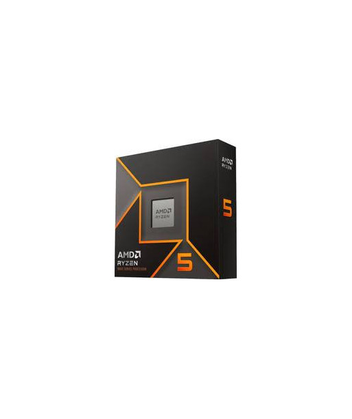 AMD Ryzen 5 9600X no fan Box