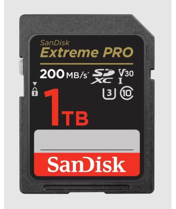 MEMORY SDXC 1TB UHS-I/SDSDXXD-1T00-GN4IN SANDISK
