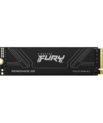 Kingston SSD FURY Renegade 1TB PCie 5.0 NVMe