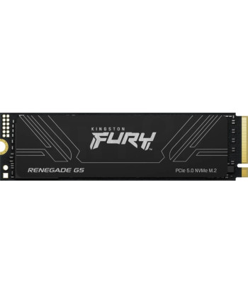 Kingston SSD FURY Renegade 4TB PCie 5.0 NVMe