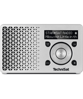 TechniSat Digitradio 1 DAB+ Radio silver | TechniSat