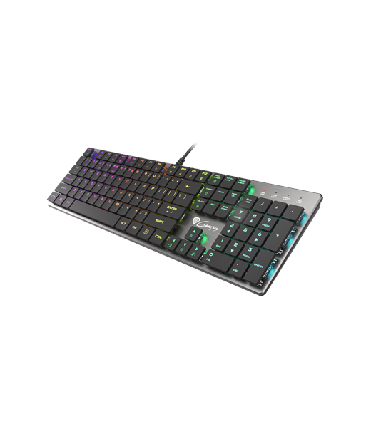 Mänguklaviatuur GENESIS THOR 420 Gaming Keyboard, US Layout, Wired, Silver, Genesis, THOR 420, Silver, Wired, RGB LED light
