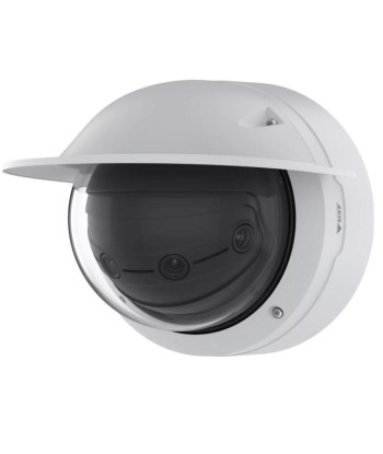 Turvakaamera Q3839-PVE29MP/02657-001 AXIS