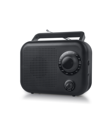 New-One | Portable radio 2 ranges | R210