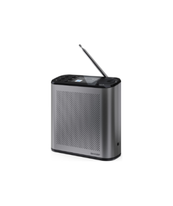 Sharp OSAKA Portable Digital Radio, DR-P530(GY), USB port, Bluetooth, FM radio, Wireless connection