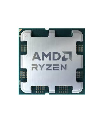 AMD Ryzen 9 9900X Tray