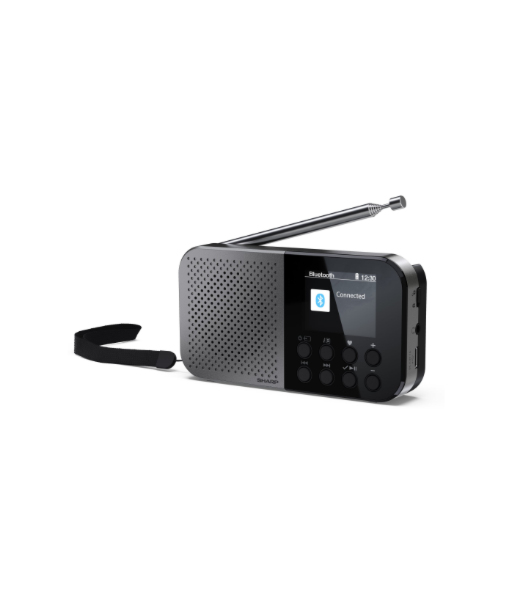 Sharp OSAKA Pocket/Handheld Portable Digital Radio | DR-P520(GY) | Bluetooth