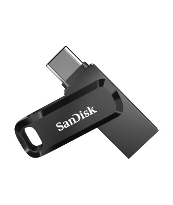 Mälupulk USB-C 256GB/SDDDC3-256G-G46 SANDISK