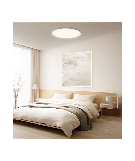 Xiaomi Smart Ceiling Light D40 | 45 W