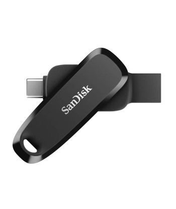 MEMORY DRIVE FLASH USB-C 256GB/SDDDC6-256G-G46 SANDISK