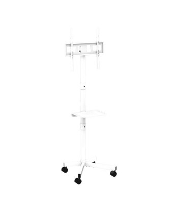 TV SET ACC FLOOR STAND 32-55"/CASTER WH TVS-55T-03-W GEMBIRD