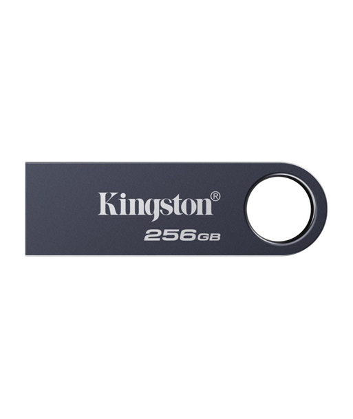 KINGSTON 256GB DataTraveler SE9 G3