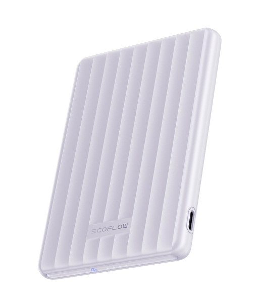Внешний аккумулятор USB 5000MAH RAPID/MAG PURPLE 5022801006 ECOFLOW