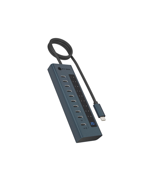Icy Box 10 ports USB Type-C Gen 2 hub