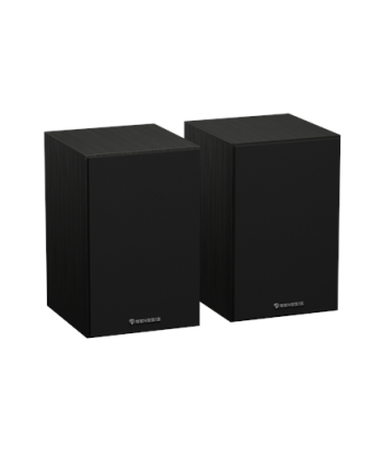 Kõlar N-Gear s, Arsen 302BT, 20 W, Bluetooth, Black, Wireless connection