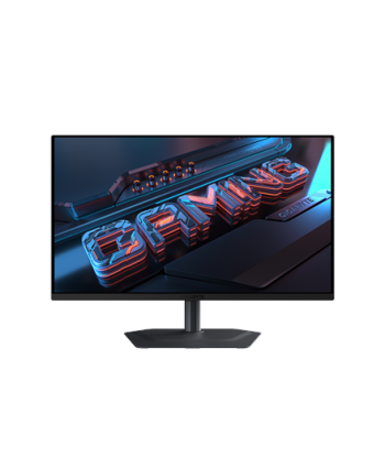 Gigabyte