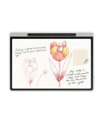 GRAPHIC TABLET 148X236MM/MAGIC NOTE PAD XPPEN