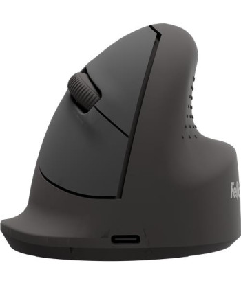 Беспроводная мышь VERTICAL/ERGO M RT 100143579 FELLOWES