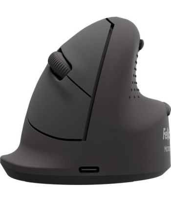 MOUSE USB OPTICAL WRL VERTICAL/ERGO+ S RT 100143580 FELLOWES