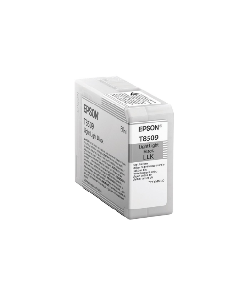Tint Epson T850900 | | Light Black