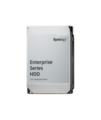 Synology HAT5320-24T, Enterprise Series SATA HDD, 7200 RPM, 24000 GB