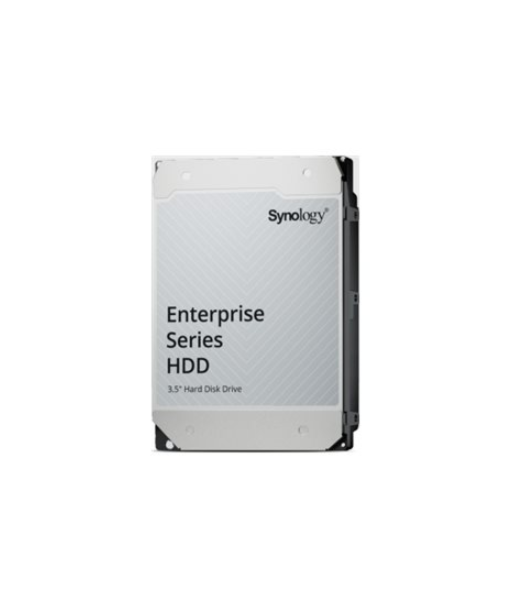 Synology HAT5320-24T, Enterprise Series SATA HDD, 7200 RPM, 24000 GB