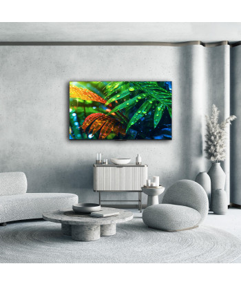 THOMSON 55-tolline 4K Ultra HD QD-Mini LED Teler (55MG7C15)