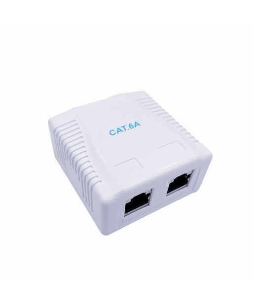 CABLE ACC MOUNT BOX CAT6A FTP/2P NCAC-2F6A-01 GEMBIRD