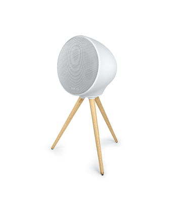 Muse ML-655 BT Portable Bluetooth Speaker