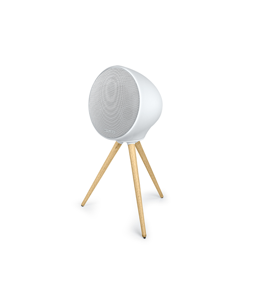 Muse ML-655 BT Portable Bluetooth Speaker