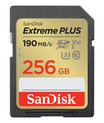 MEMORY SDXC 256GB UHS-1/SDSDXWV-256G-GNCIN SANDISK