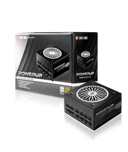 Power Supply CHIEFTEC 650 Watts Efficiency 80 PLUS GOLD PFC Active GPX-650FC