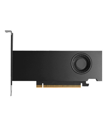 Videokaart PNY NVIDIA RTX PRO 2000 16 GB GDDR7 128 bit PCI Express x8 5.0 Active VCNRTXPRO2000-PB