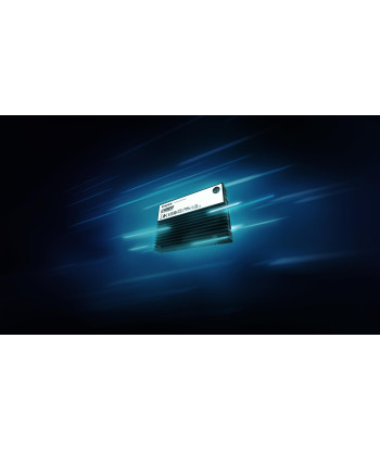 Kingston DC3000ME 7.68TB NVMe SSD 3D TLC