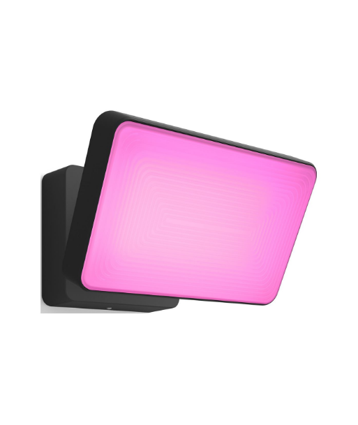 Philips Hue WCA Discover Outdoor Floodlight | 2000-6500 Hue White Colour Ambiance