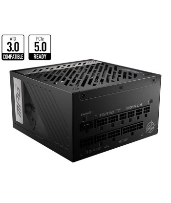 Блок питания MSI 850 Watts Efficiency 80 PLUS GOLD PFC Active MPGA850GPCIE5