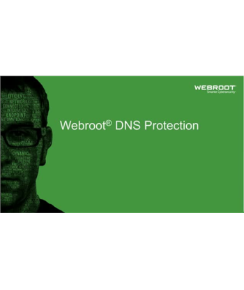 Webroot DNS Protection with GSM Console, 2 year(s), License quantity 1-9 user(s)