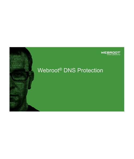 Webroot DNS Protection koos GSM Konsooliga, 2 aastat, 10-99 kasutajat