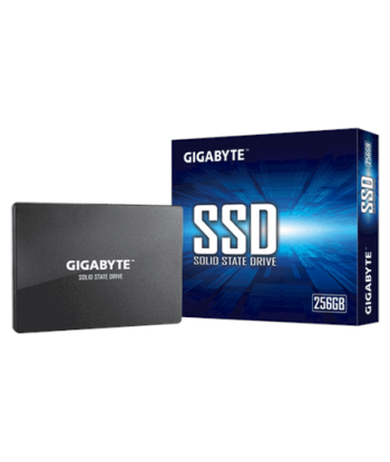 Gigabyte, GP-GSTFS31256GTND, 256 GB, Solid-state drive interface SATA, Read speed 520 MB/s, Write speed 500 MB/s