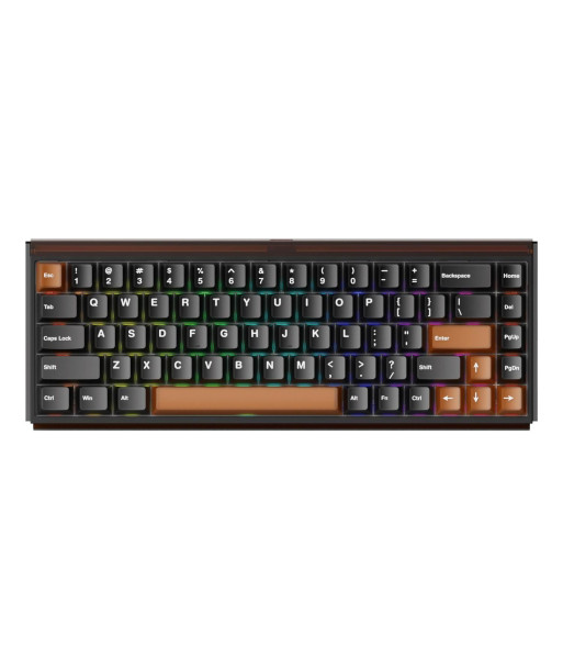 KEYBOARD WRL RAY68-HE/BROWN 103-RA68A-000 AKKO