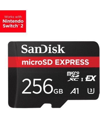 MEMORY MICRO SDXC 256GB UHS-I/SDSQXFN-256G-GN4NN SANDISK
