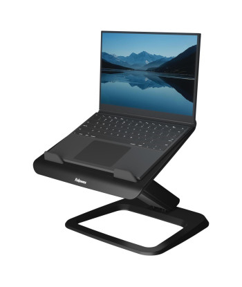 NB ACC STAND HANA LT/BLACK 100016994 FELLOWES
